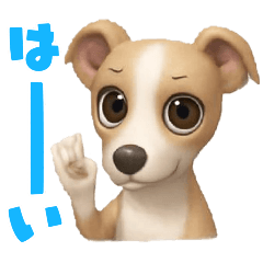 ayame_20251205012431