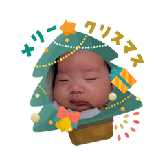 setta_20251204160653