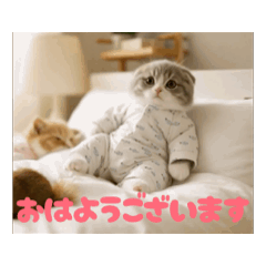 動く AI猫の日常使いスタンプ
