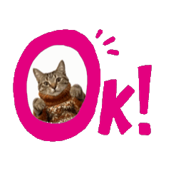 お酒とネコ好きな日常会話77