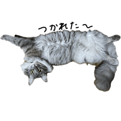 Natsumi_20251204172404