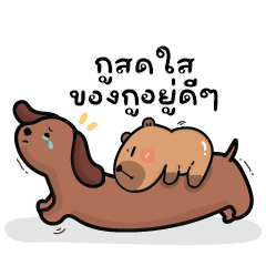 Capybara! V.27 : Capybara!!!