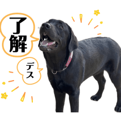 kun kun_20251203222510