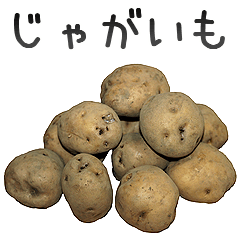 This is Potato