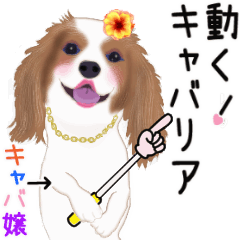 Move! sticker of Cavalier dog
