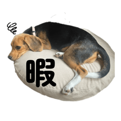 mugi_20250122