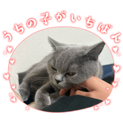 tarutaru_20251205005640