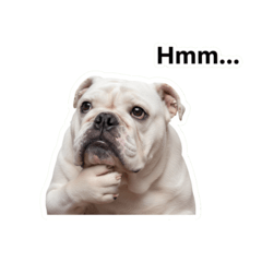 SHENG HSIN'S dog life