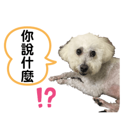 寶貝滿滿第四彈