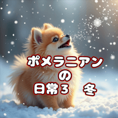 Pom Pom日常：可愛的博美生活3