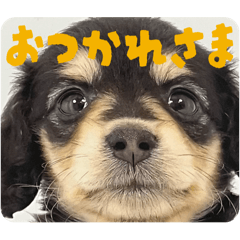 BETTY_20251204180844