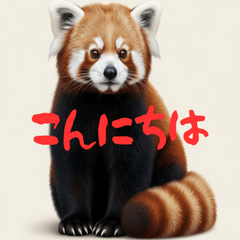 Red Panda Daily Life A