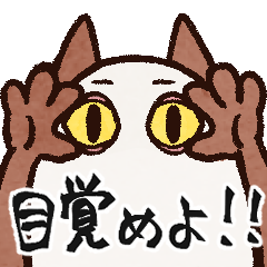 A cat who wants to be Lord Medjed