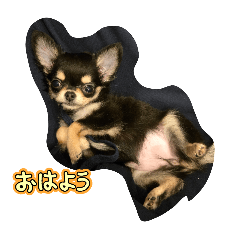 Sahito99_20251204221732