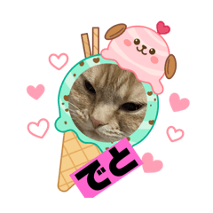 CHIHIRO_20251204234247