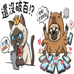 《網美喵殿下與血汗攝影師》