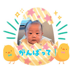 bammbook_20251204191601