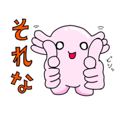 Axolotl every day