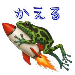 Fun Poison Dart Frog