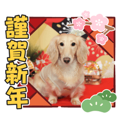 haruka_20251205050246