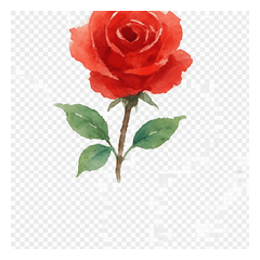 The Language of Roses by Their Number