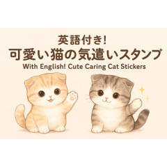 With English! Soft Scottish Fold Cats