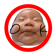 hiyori_20251205090447