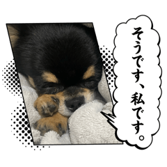 soraa_20251204214916