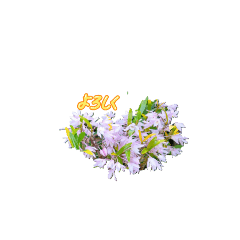 sannbe_20251205054051