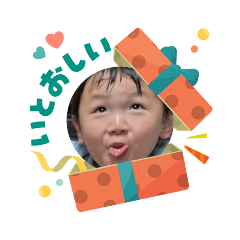 hachi_20251205072443