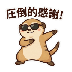 maronn_20251204170755