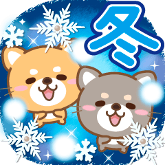 自然柴犬♪立體彈出式冬季和聖誕節