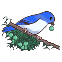 Greetings with birds