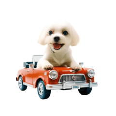 搞怪陳寶Ai系列