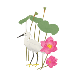 Lotus and Joyful Bird