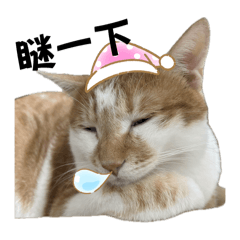 巧虎寶寶超可愛