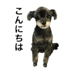 rei_20251204191559