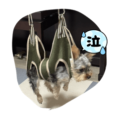 MASAKAZU_20251205100142