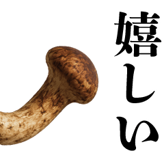うざい松茸【面白い・煽り】