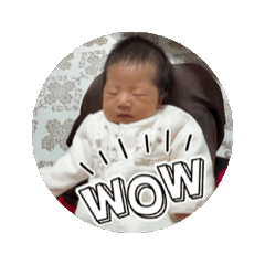 hamuhamu_20251205140348