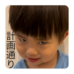 haruka_20251205121406