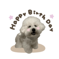 クルムくん☆スタンダード