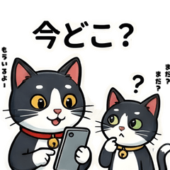 B&W Sister Cats: School Life