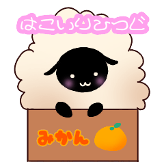 SHEEP in the box