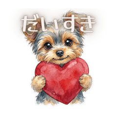 YorkshireTerrier Pino