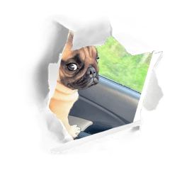 Nong Puk Para Puk Puk