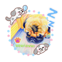 233884848_20251205022952