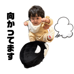 NekotoAoi_20251205142904