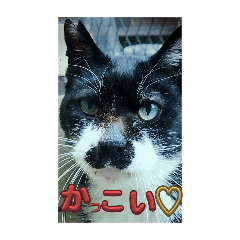 ASAKO_20251205145440