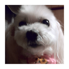 Jennifer_20251205145919